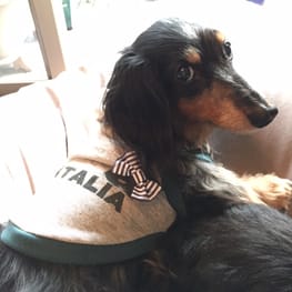 サニタリー・マナーパンツ