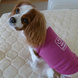 バルーンブラウス