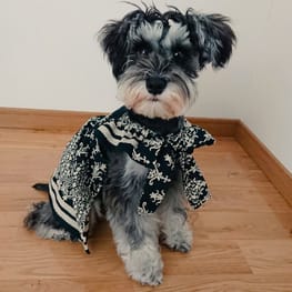 ダウンジャケット