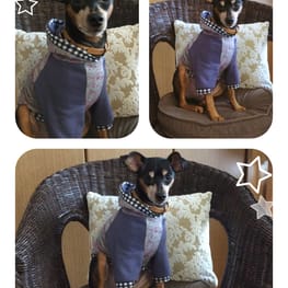 ラガーシャツ・ポロシャツ