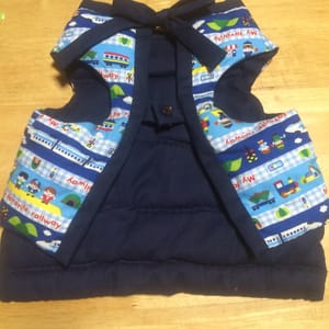 ふうさんの作品