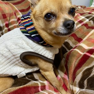 そらさんの作品