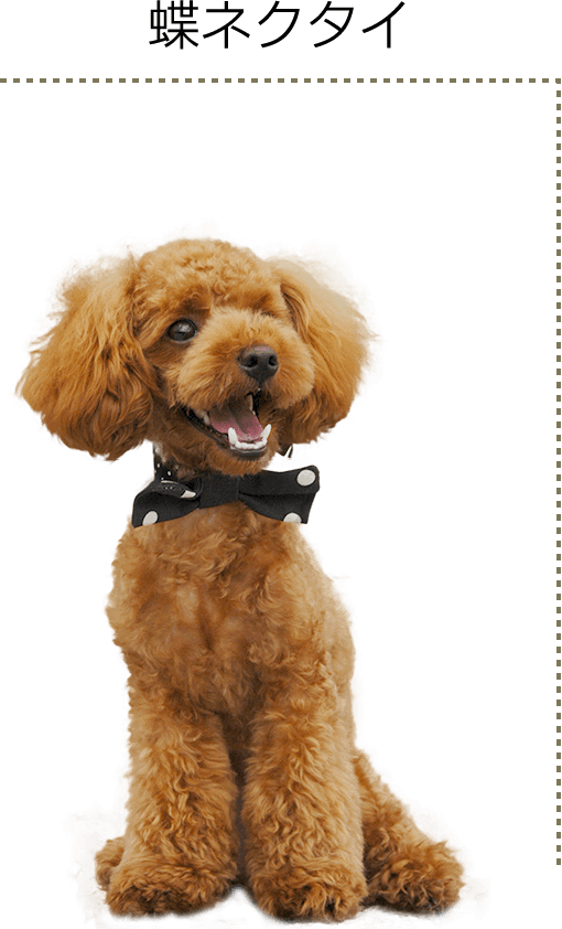 蝶ネクタイ