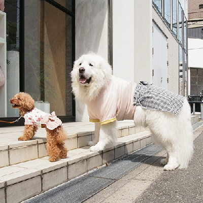 ラップスカートワンピース