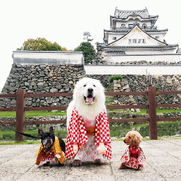 姫様きぐるみコスチューム