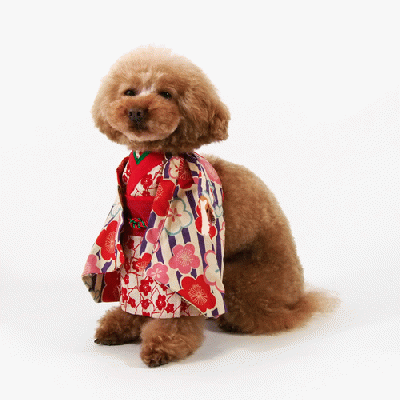 姫様きぐるみコスチューム