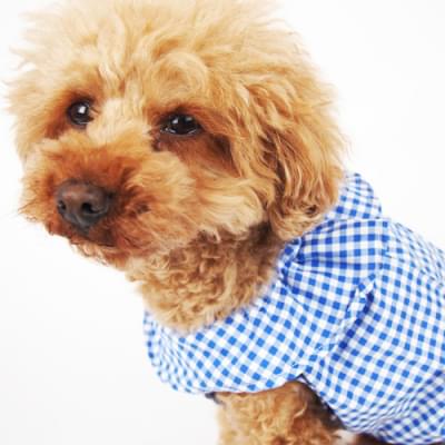 ラッフルワンピース