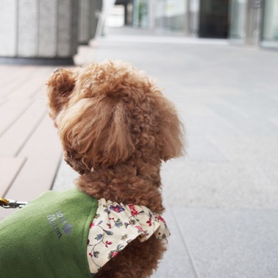 ベーシックシリーズ　パーツセットA