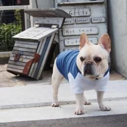 ベーシックタンクトップ&Tシャツ