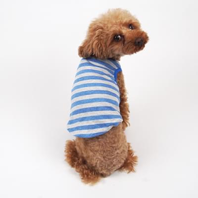 カットクロス:ボーダー天竺ニット ブルー