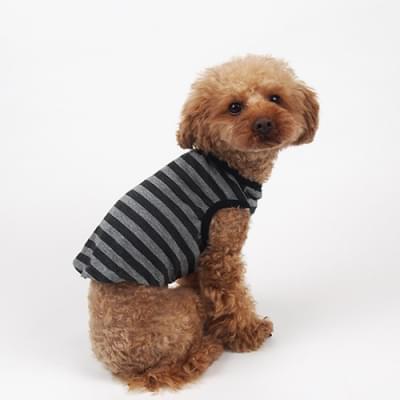 カットクロス:ボーダー天竺ニット ブラック