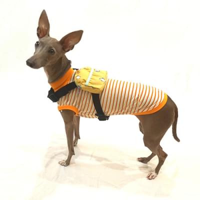 リュックサック・ボディバッグ