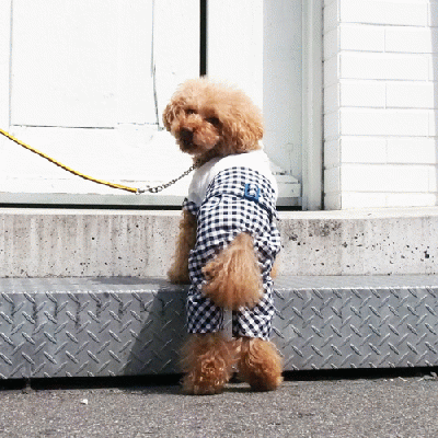 ハイウェストカバーオールパンツ